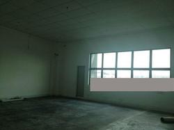 Focus One (D14), Factory #228943191